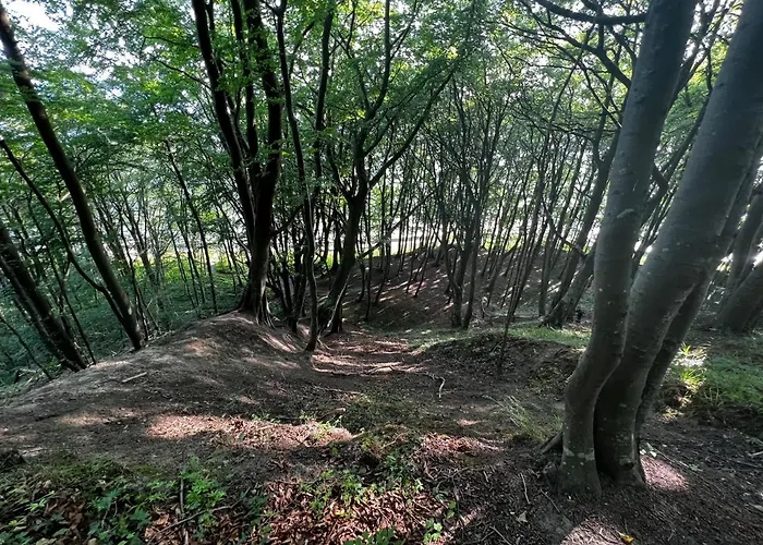 Przytulny Sea Power * Jastrzębia Góra